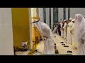 يرجى الاشتراك في قناتي على اليوتيوب بث مباشر لتلاوة التراويح بصوت عبد الرحمن مسعد لا تفوتوا البث