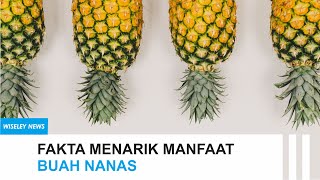 Fakta Menarik Buah Nanas Yang Perlu Kalian Ketahui