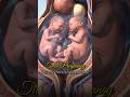 Twin pregnancy: Why are more scans needed? #shorts #twinpregnancy #drhazeena #gynecologist