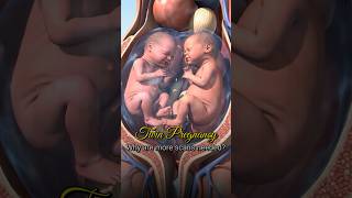 Twin pregnancy: Why are more scans needed? #shorts #twinpregnancy #drhazeena #gynecologist