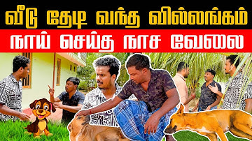 கோழியை கடித்த நாய் - விசாரிக்க சென்றதால் வில்லங்கம் | Akkuddiyum pichumaniyum | Tamil comedy