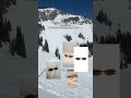 I love a jerry 🤣💙App: https://refer.photoroom.com/jess-kay-millis #snowboarding #photoroom