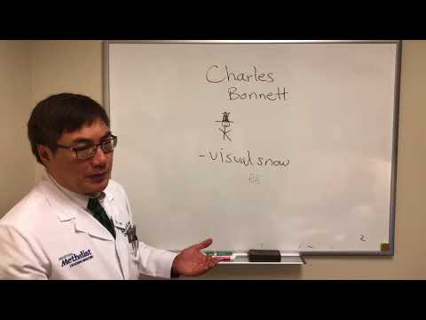 Positive visual phenomenon Part II, Charles Bonnet, Visual Snow, Palinopsia