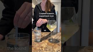 THE CRAZIEST EXPERIMENT