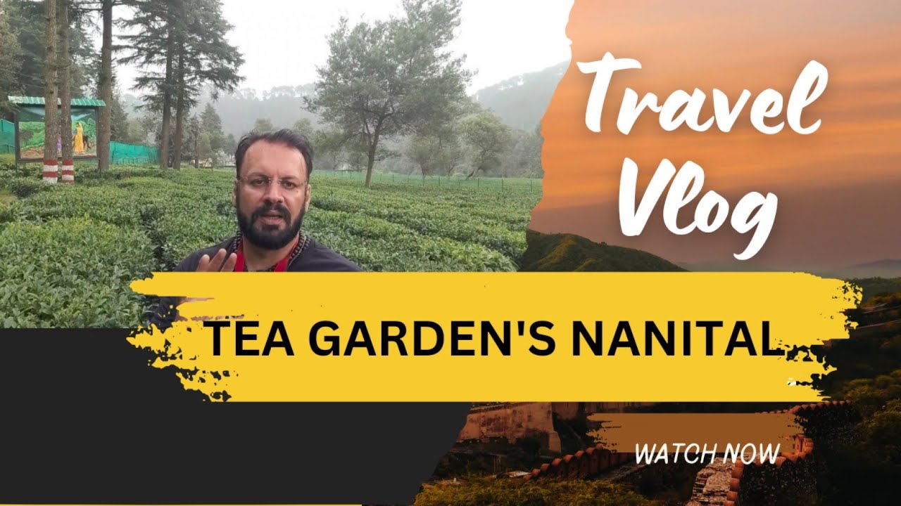 Nainital's Hidden Tea Gardens | Tea Garden BlissExploring Nainital’s Green Hills | Walktalk India