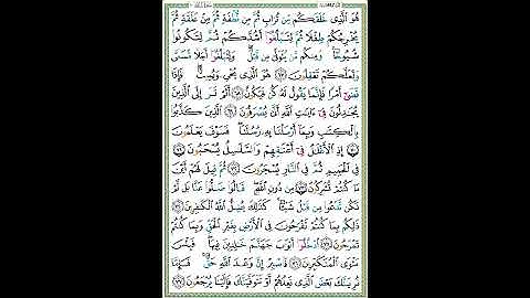 سورة غافر الصفحة٤٧٥