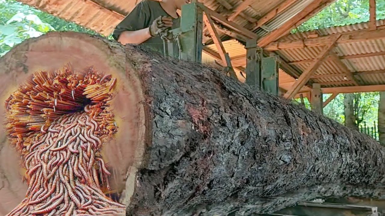 Cutting giant logs into sheets at a sawmill - YouTube