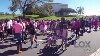 Full Making Strides Against Breast Cancer Walk in Richmond Update