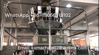 Automatic Stand Up Pouch Zipper Bag Cereal Nuts Cat Food Doypack Premade Pouch Bag Packing Machine