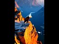 A lone eagle perched on a cliff edge, overlooking vast mountains at sunrise. #natureshorts