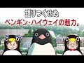 軽部アナ・笠井アナ×「ペンギン・ハイウェイ」特別映像③（内容の魅力深掘り編）