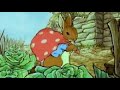 PETER RABBIT Pedro Coelho em português VOL 1 2 3 4   [ 9 contos ] Primeiros Desenhos dele !!