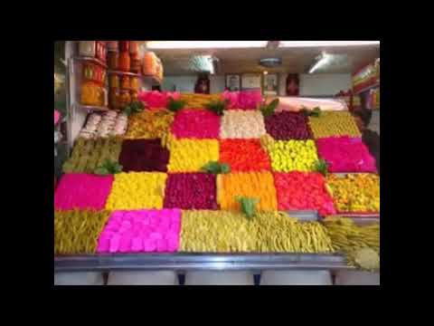 شاعر حماة الدكتور وجيه البارودي شاعر حماة انه الطبيب الانسان