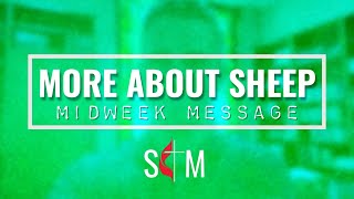 "More About Sheep" - Midweek Message
