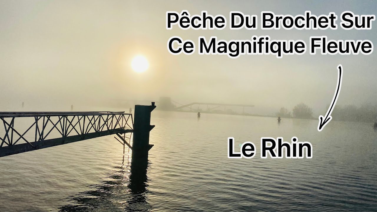 Pêche du brochet sur ce magnifique fleuve qui est le Rhin (en Alsace)