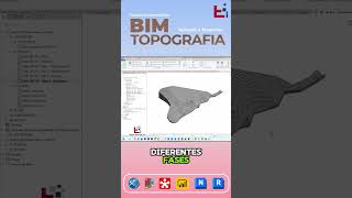 Asigna Fases a Vistas Modelo de Excavación Masiva
