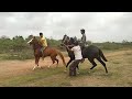 Kutch best horse racing in moti khakhar : કેસૂ & પોપટ કી કાંટે કી ટક્કર.
