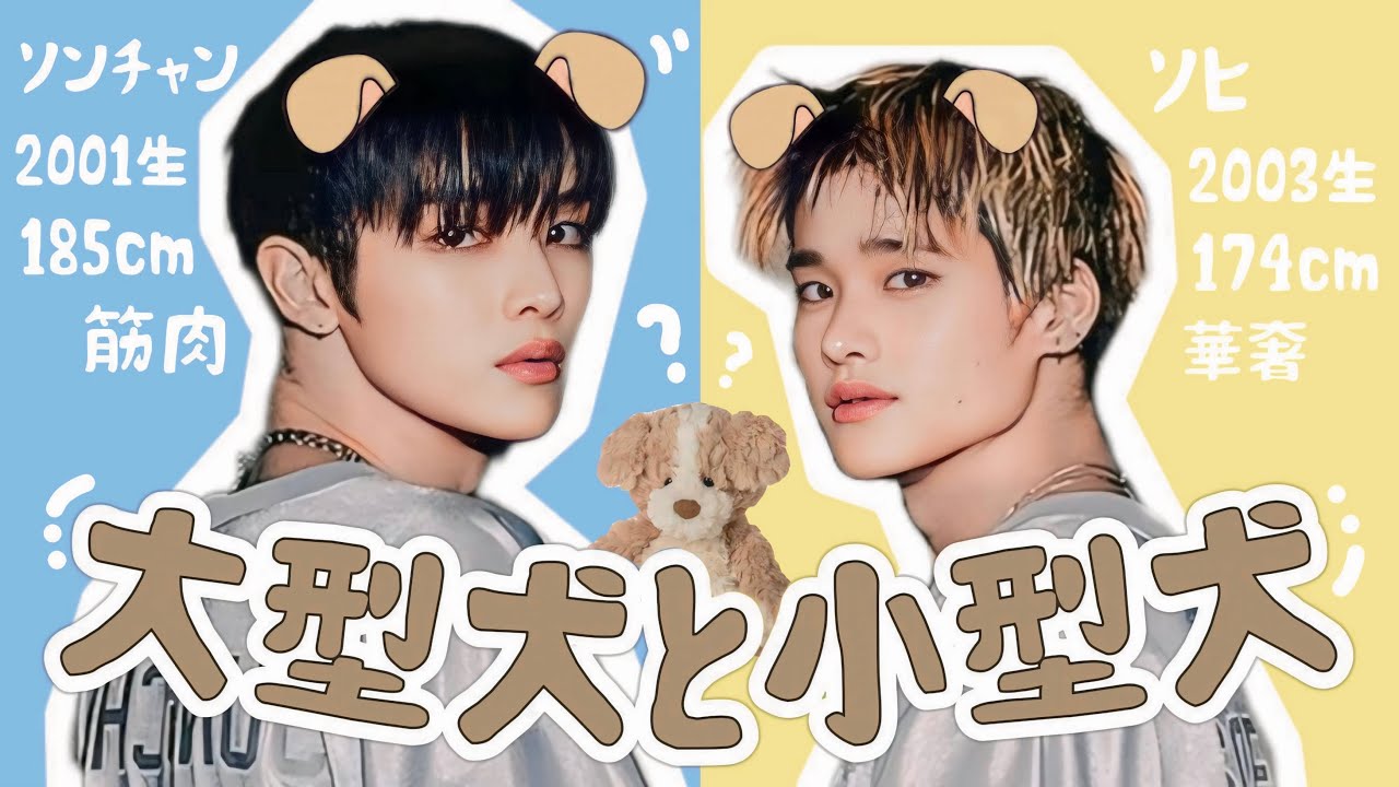 まるで兄弟のようなバムトルズ【RIIZE / 日本語字幕】