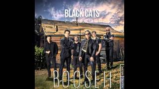 Black Cats - Booseh NEW 2014