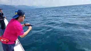 夏のタイラバゲーム③ 福井シーライオン(紅牙50スリルゲームぶち曲がり！)