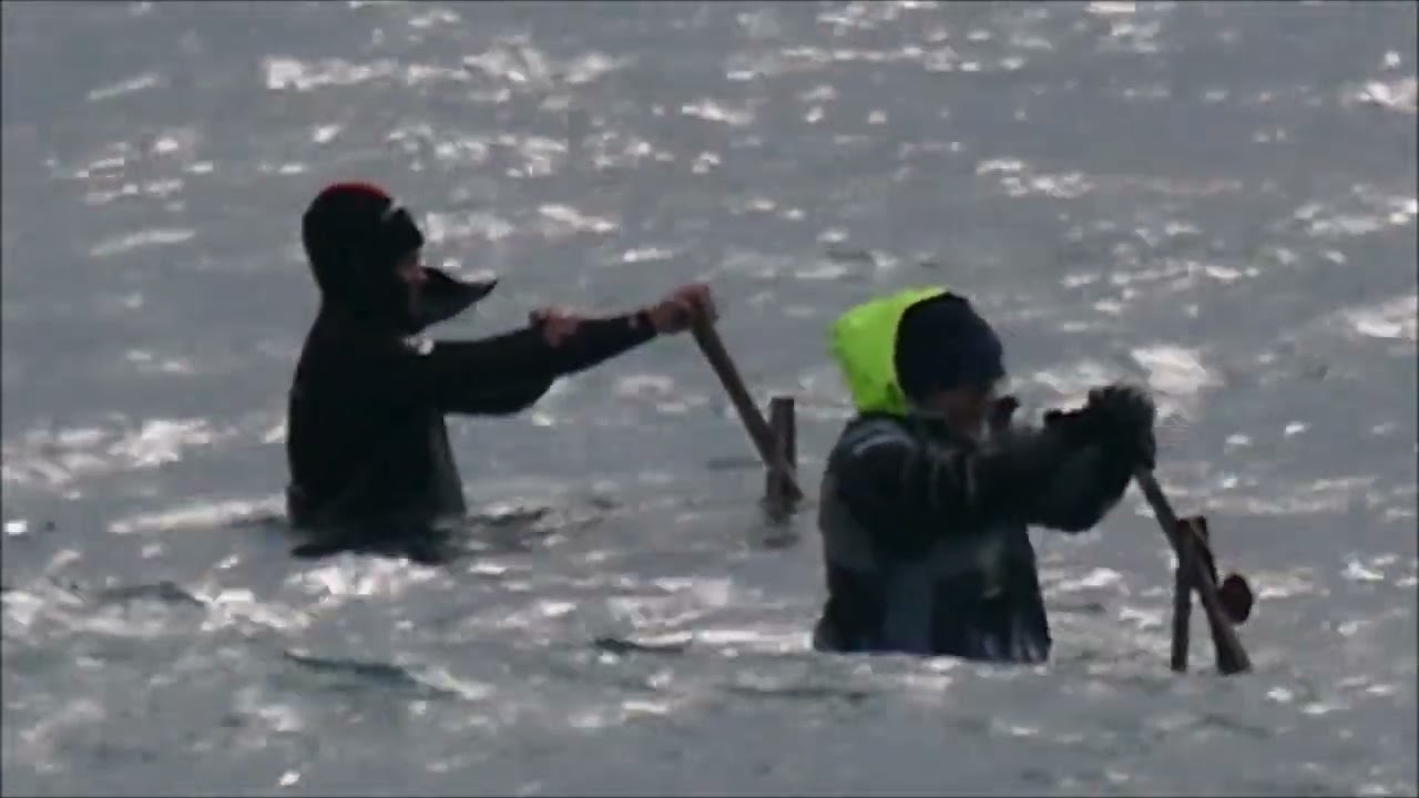 Pesca della Tellina sul litorale laziale   Tellina fishing on the Lazio coast by manortiz