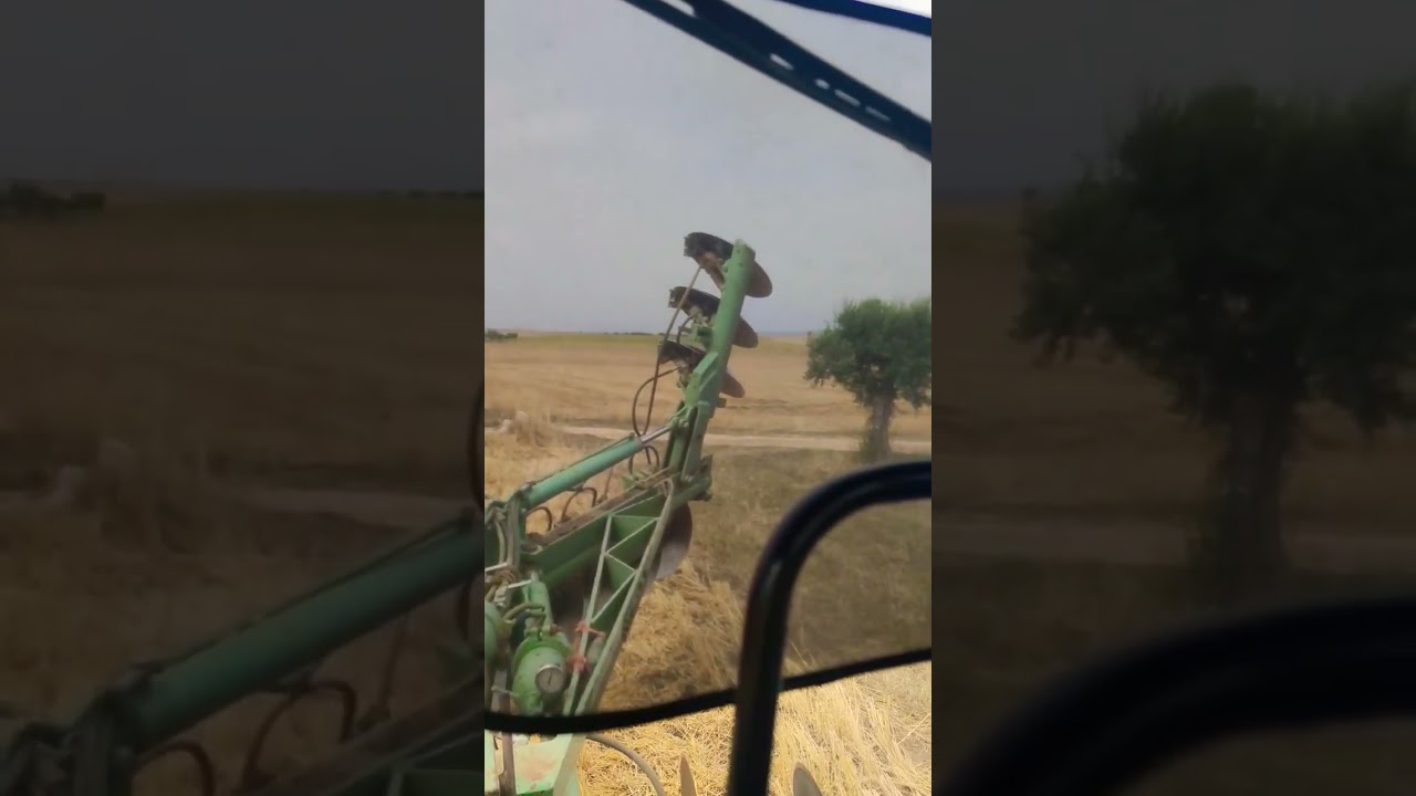 NEW HOLLAND TM190|ARATRO A DISCHI SANTOLLA | AGRIPLUS di LUIGI MAGNATI 