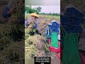 🚀 কৃষিতে নতুন যুগের সূচনা! বাদাম সংগ্রহের স্মার্ট মেশিন ভাইরাল