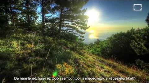 Jason Silva - Pszichedelikus Technológia