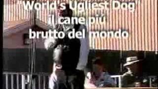 Sonoma-Marin Fair World's Ugliest Dog (R) Contest On A Roll