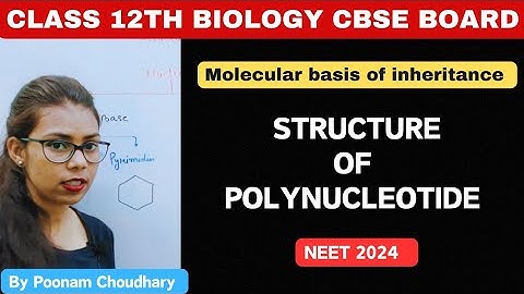 Structure of polynucleotide | Molecular basis of inheritance | class 12 biology | neet 2024 |