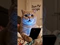 #YouTubeShorts#Shorts#TrendingShorts#ViralShorts#ShortVideo#YTShorts#YouTubeViral #funny