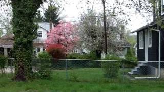 Lease with Option to Buy | 3303 Ailsa Ave , Baltimore Maryland 21214 | Rent To Own Home