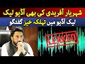 Audio leak of kashmir committee chairperson shehryar afridi  shocking revelations  dawn news