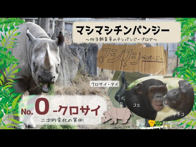 パンジーさま　２枚お纏めページ(a,d) パンジーたくさんthe Farm universal ｜🍀GreenSnap（グリーンスナップ）