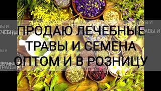 Продаю Лечебные Травы и семена оптом и в розницу!