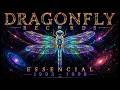 Best of Dragonfly Records (1993-1998) | Mixed by JNL