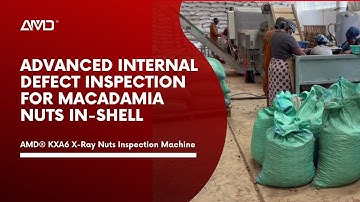 KXA6-G X Ray Machine: Showcase of #Macadamia in-shell Sorting in Kenya  | AMD®  #X600(AI+HD)