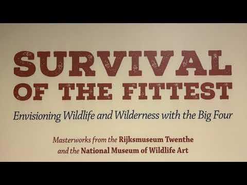 Survival of the Fittest: Envisioning Wildlife and Wilderness with the –  National Museum of Wildlife Art