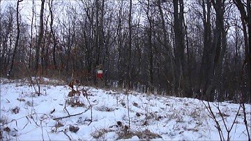 2lb Shockwave Exploding Target