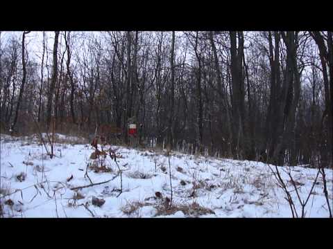 2lb Shockwave Exploding Target