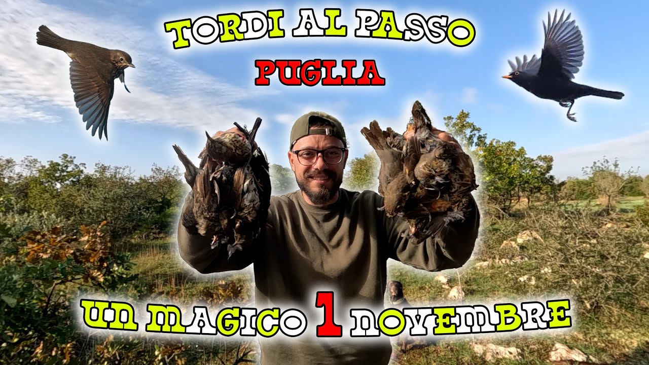 CACCIA ai TORDI PUGLIA | un MAGICO 1 NOVEMBRE | THRUSH hunting | ΚΥΝΗΓΙ ΤΣΙΧΛΑΣ | CAZA DE ZORZALES