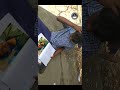 #@harish__vlogsz #instagram #exampreparation #comedy #youtubeshorts #reels #harish_★_vlogs_★_!!!!!