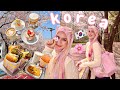 أول مرة ليا في كوريا وقت شجر الكرز اللي شوفته مش طبيعي