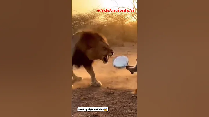 Monkey Fights Off Lion #viral #animals #subscribe #wildlife #safari #shorts #attack #fighting #lol