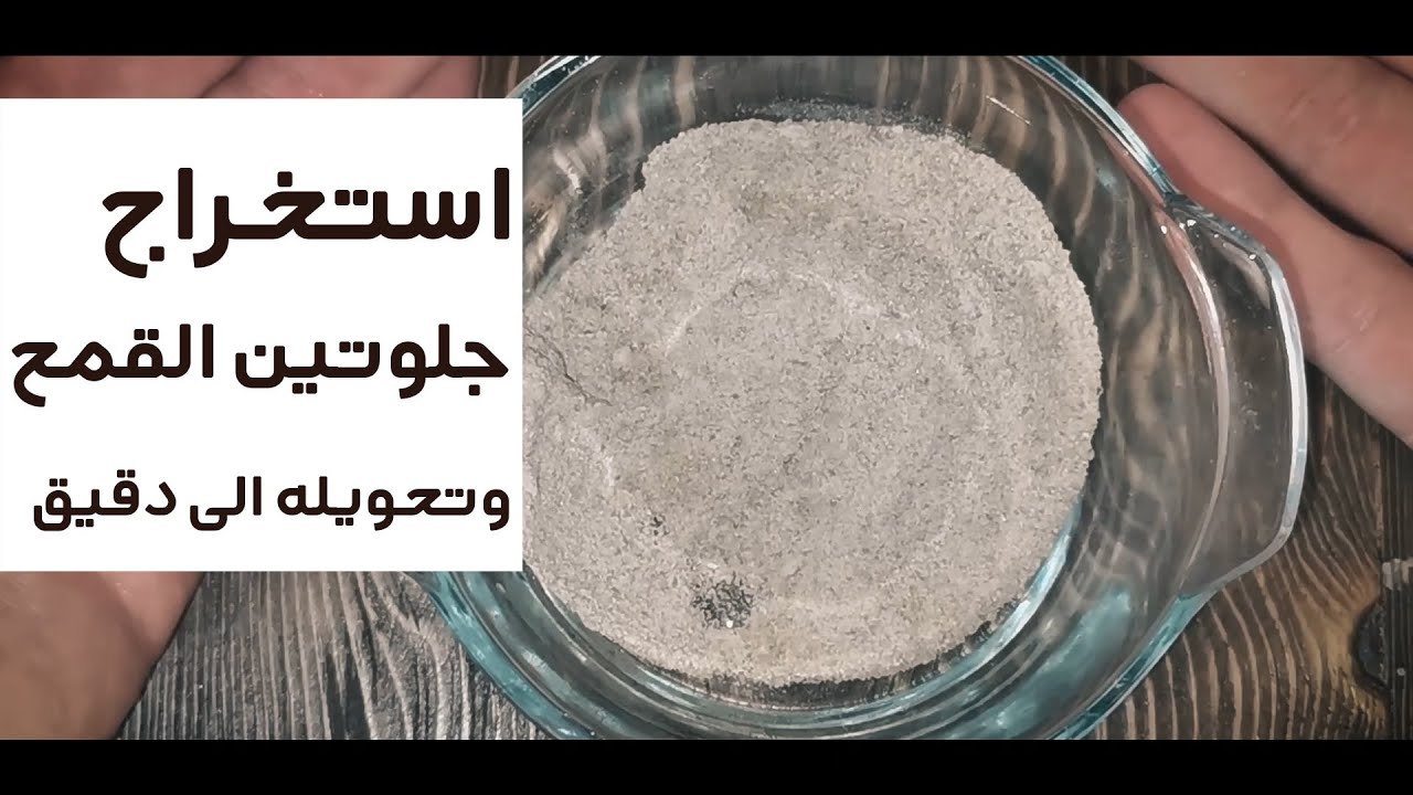 استخراج جلوتين القمح وتحويله الى  دقيق فى البيت home made vital wheat gluten flour