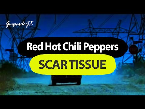 Red Hot Chili Peppers - Scar Tissue (Lyrics/Letra) Español/English