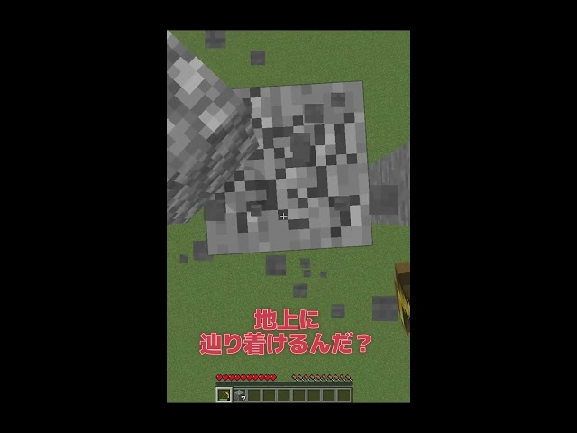 店舗良い 売切続出 マインクラフト その他 Www Salutenaturaleblog Com