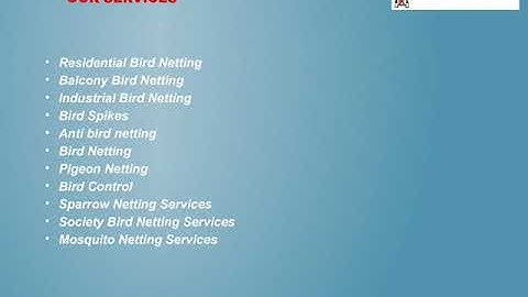 Best Sparrow Netting Services In Pune, Ideal Bird Netting Services, Sparrow Netting Dealers