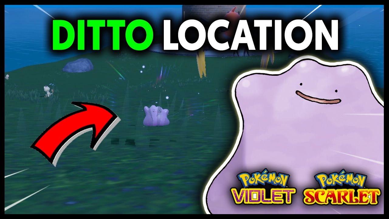 How to get DITTO in Pokemon Scarlet & Violet! 