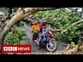 New video by BBC News on YouTube